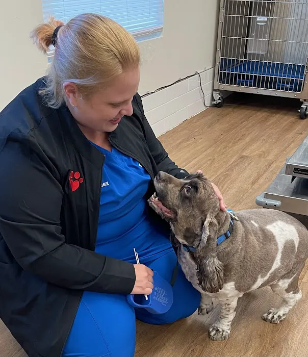 Stringtown Animal Hospital Picture 8