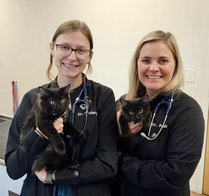 Stringtown Animal Hospital Picture 1