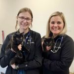 Stringtown Animal Hospital