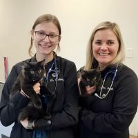 Stringtown Animal Hospital ico