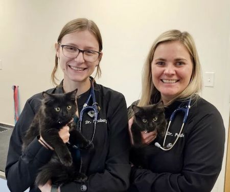 Stringtown Animal Hospital