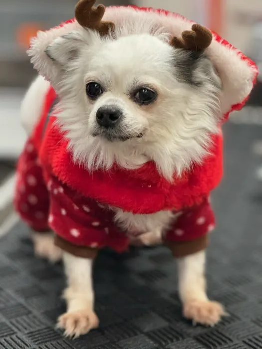 Stringtown Animal Hospital Picture 7