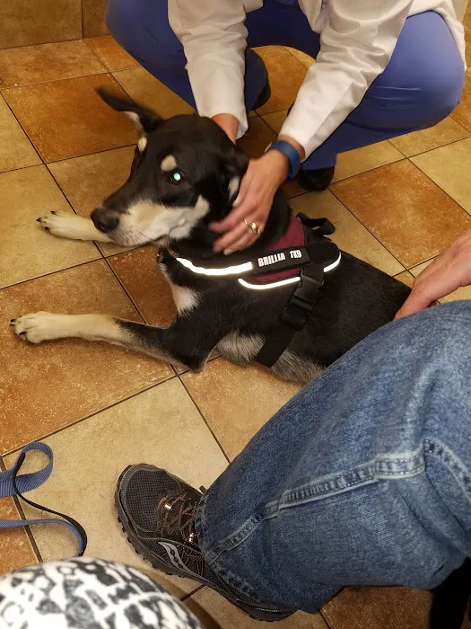 Banfield Pet Hospital Picture 2