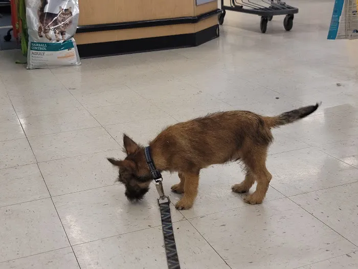 Banfield Pet Hospital Picture 8