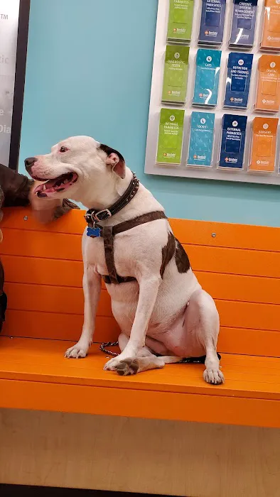 Banfield Pet Hospital Picture 4
