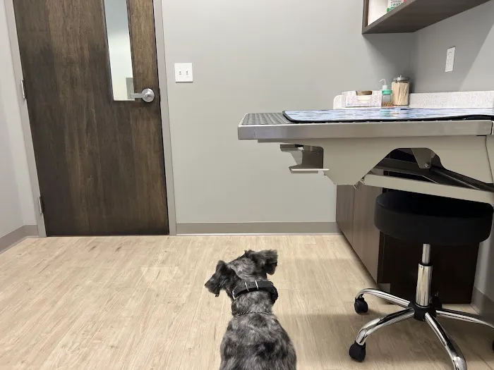 All Critters Veterinary Hospital Picture 5