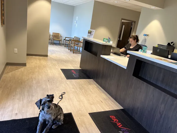 All Critters Veterinary Hospital Picture 3