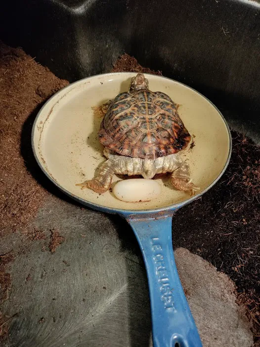All Critters Veterinary Hospital Picture 7