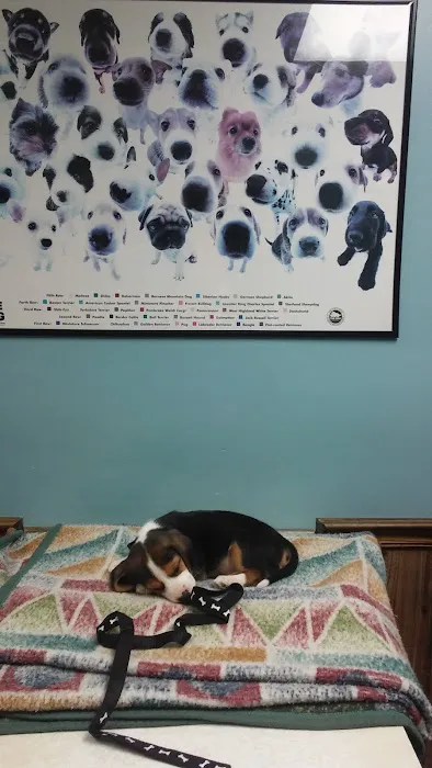 Community Veterinary Clinic Picture 6
