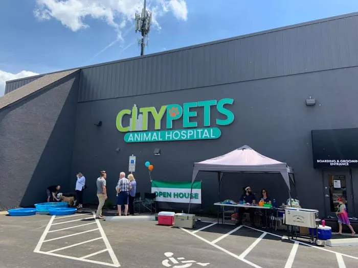 CityPets614 Animal Hospital Picture 5