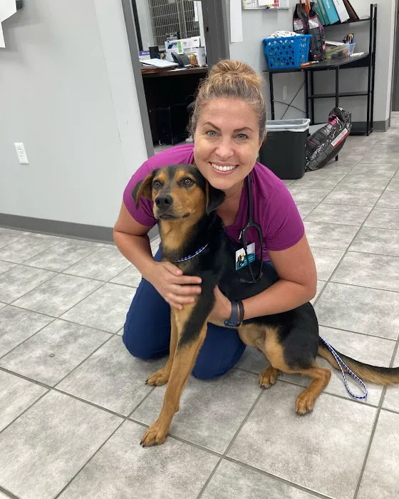 CityPets614 Animal Hospital Picture 2