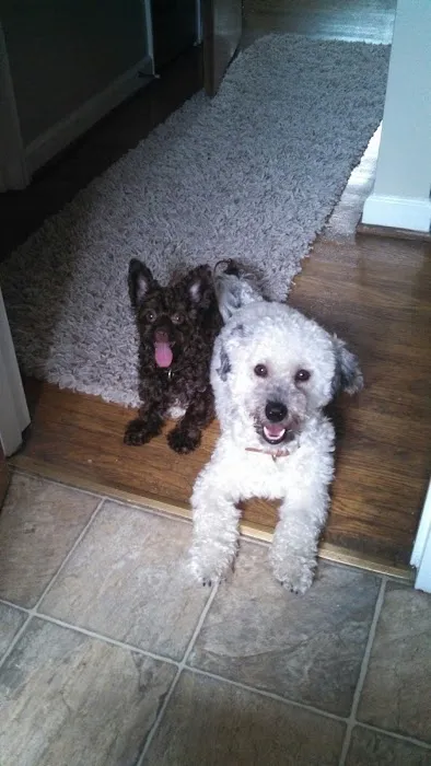 Grandview Animal Clinic Picture 3