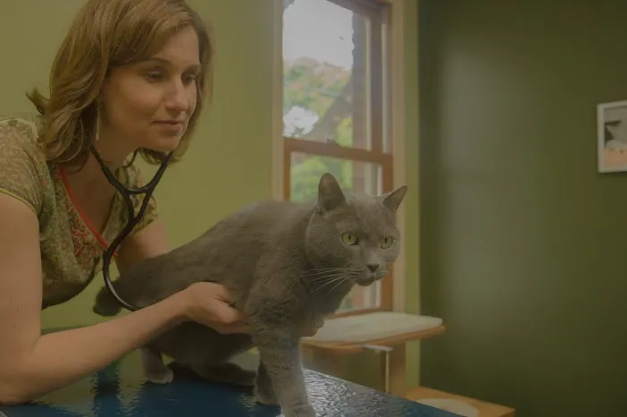 Health & Harmony Animal Hospital Picture 3