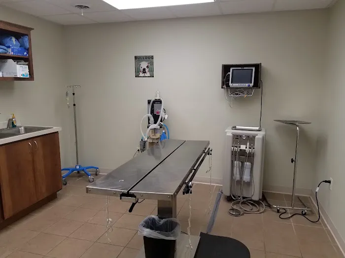 Erica Schieber, DVM at Bucyrus Veterinary Services Picture 10
