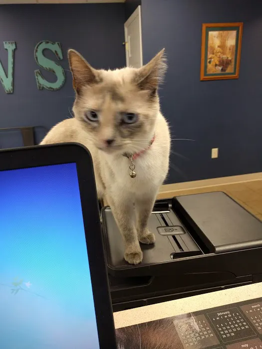 Erica Schieber, DVM at Bucyrus Veterinary Services Picture 5