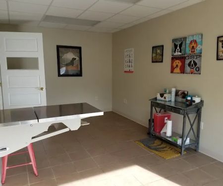 Erica Schieber, DVM at Bucyrus Veterinary Services