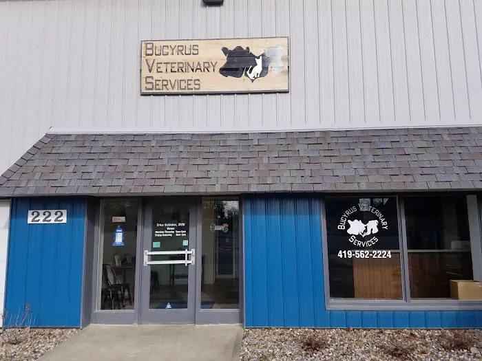 Erica Schieber, DVM at Bucyrus Veterinary Services Picture 3