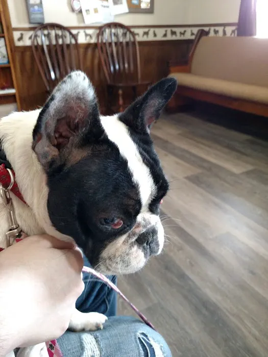 Countryside Veterinary Clinic Picture 8