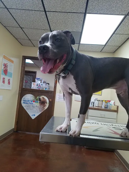 Galion Veterinary Hospital Picture 4