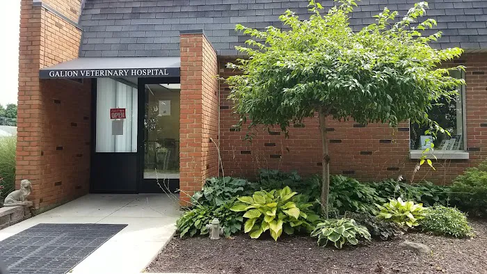 Galion Veterinary Hospital Picture 8