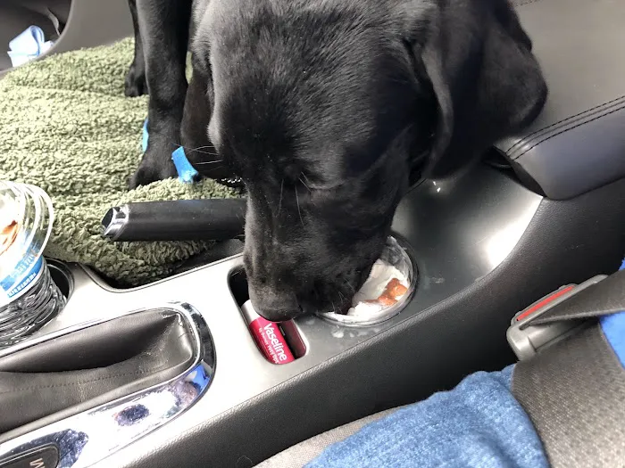 Horizon Animal Hospital Picture 1
