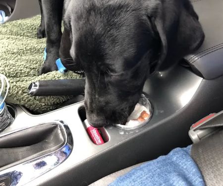 Horizon Animal Hospital