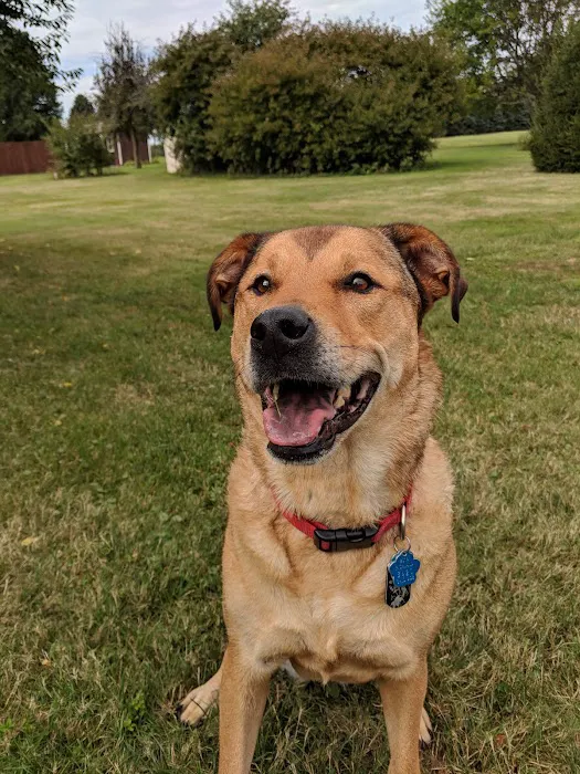 Horizon Animal Hospital Picture 8