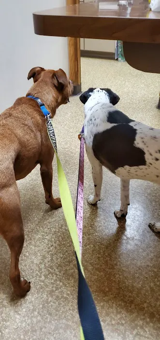 Horizon Animal Hospital Picture 5
