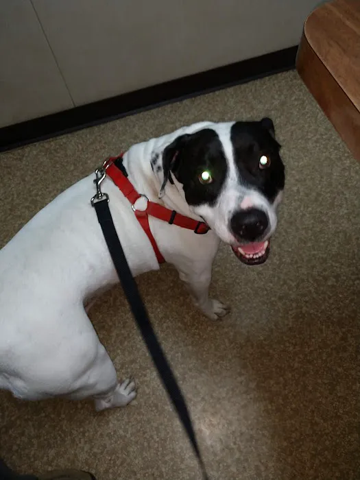 Horizon Animal Hospital Picture 6