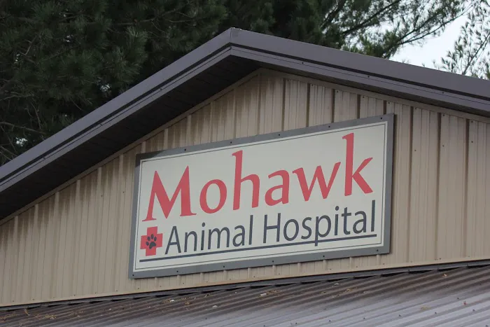 Mohawk Animal Hospital Picture 5