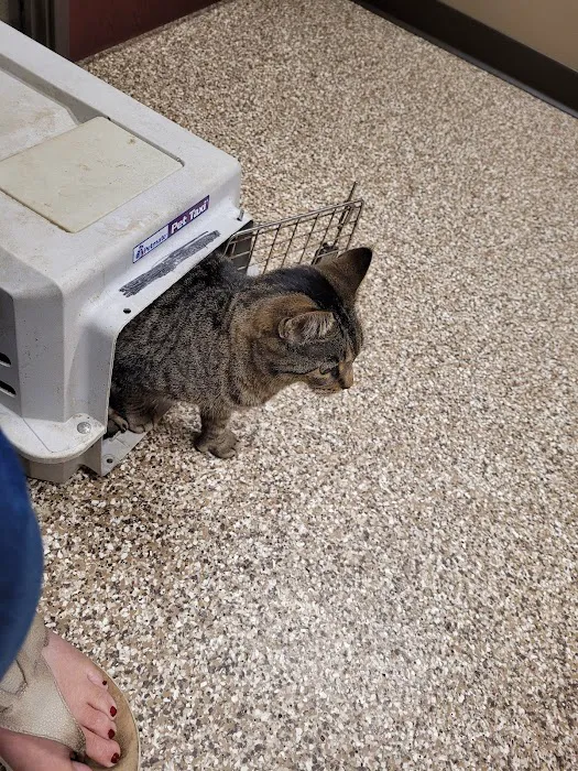 Mohawk Animal Hospital Picture 6