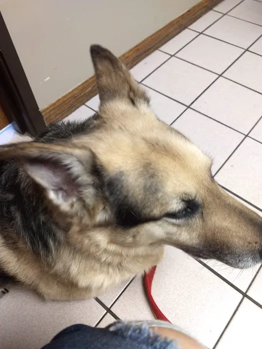 Mc Clung's Animal Hospital: Burger Ryan DVM Picture 1