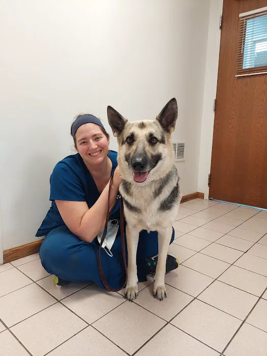 VCA Dog and Cat Hospital of Tiffin Picture 4