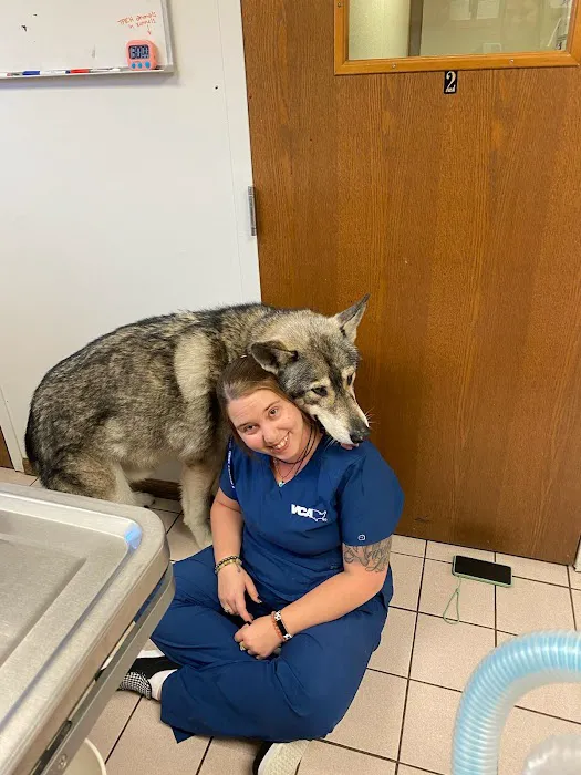 VCA Dog and Cat Hospital of Tiffin Picture 10