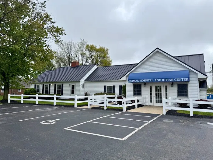 Animal Hospital of Tiffin LLC Picture 10