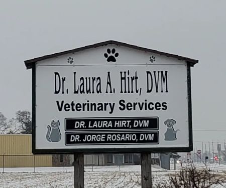 Another Chance Sanctuary
