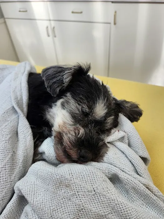 Fremont Animal Hospital Picture 5