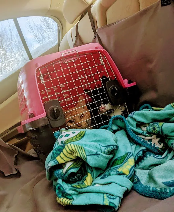Timberland Animal Hospital Picture 5