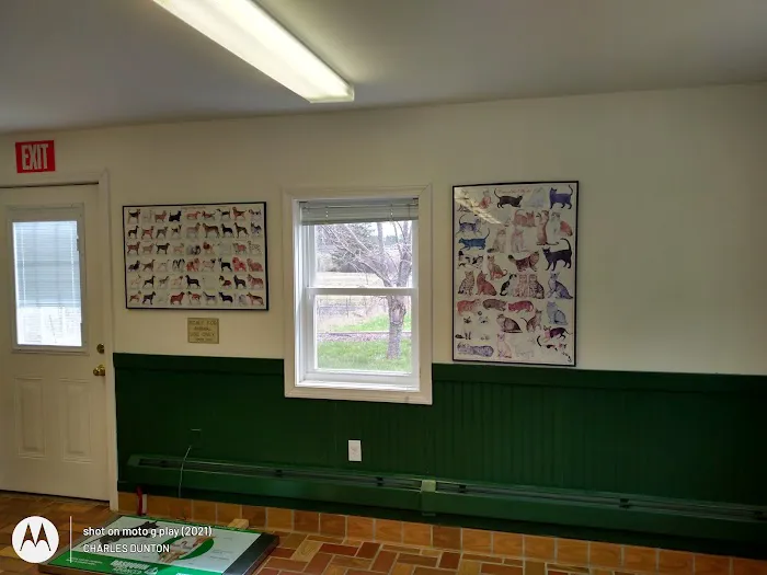 Timberland Animal Hospital Picture 3