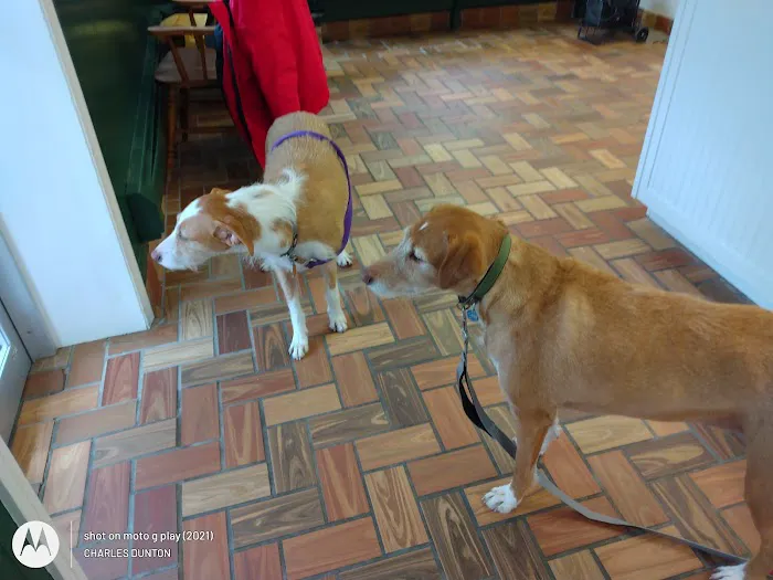 Timberland Animal Hospital Picture 7