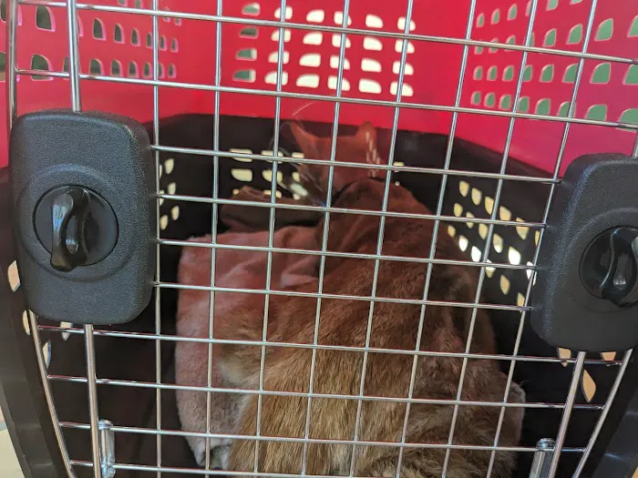 Timberland Animal Hospital Picture 8