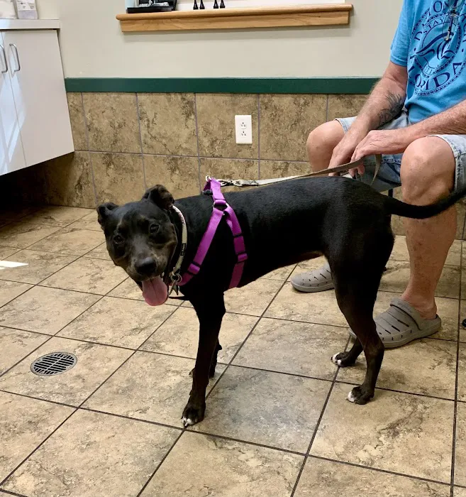 Twin Lakes Veterinary Services Picture 9