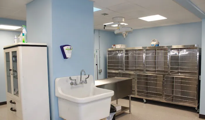 Cleveland Animal Hospital, PLLC Picture 6