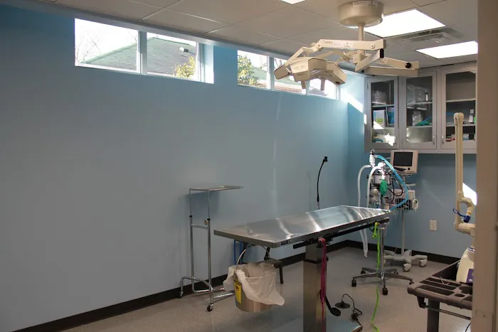 Cleveland Animal Hospital, PLLC Picture 7