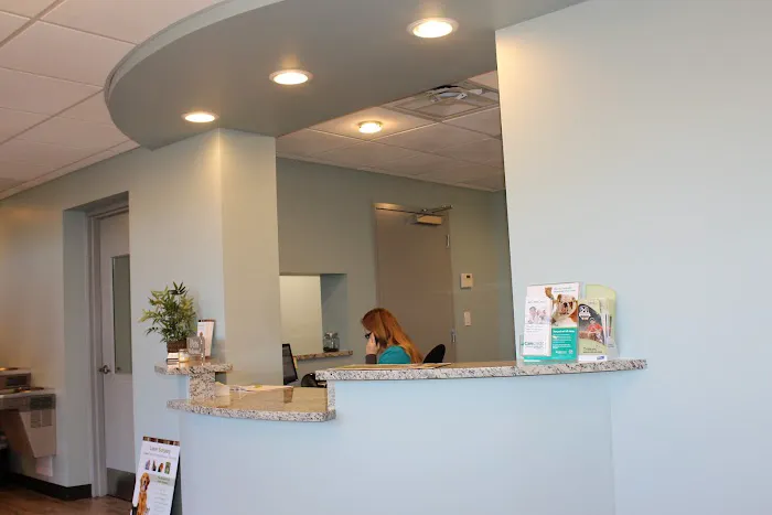 Cleveland Animal Hospital, PLLC Picture 2