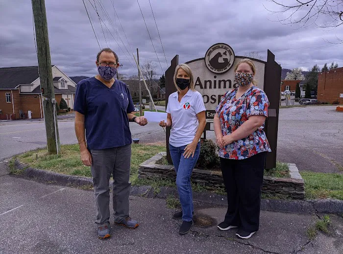Animal Hospital of East Burke Picture 9