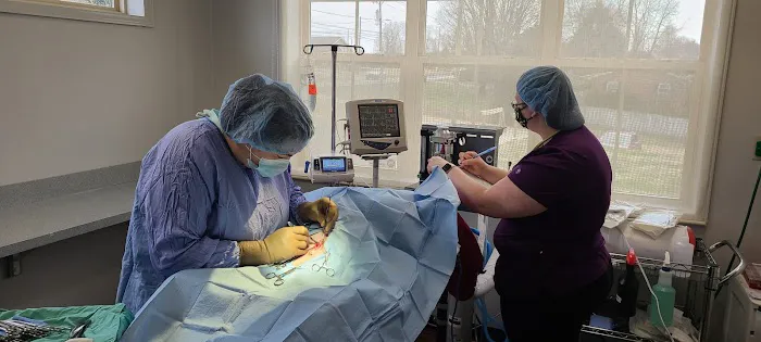 Shadow Ridge Veterinary Hospital & Urgent Care Picture 1