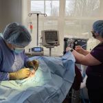 Shadow Ridge Veterinary Hospital & Urgent Care