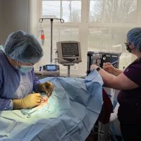 Shadow Ridge Veterinary Hospital & Urgent Care ico