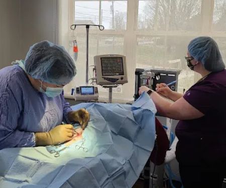Shadow Ridge Veterinary Hospital & Urgent Care